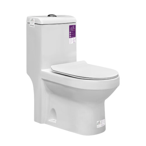 B BAGNO White Rimless Floor Mounted Water Closet WC01 With WC Seat Cover, Flush Fittings & Accesories