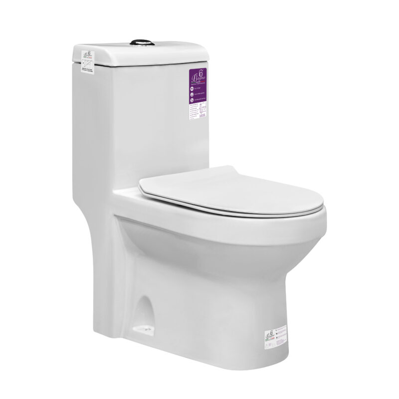 B BAGNO White Rimless Floor Mounted Water Closet WC01 With WC Seat Cover, Flush Fittings & Accesories